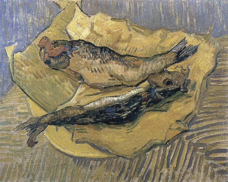 Vincent Van Gogh herrings oil painting picture